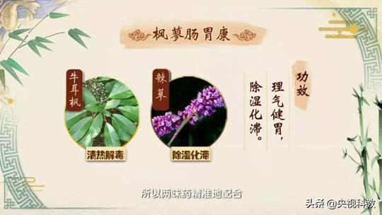 胃痛吃药有讲究！你吃对药了吗？专家教你如何正确选择胃药